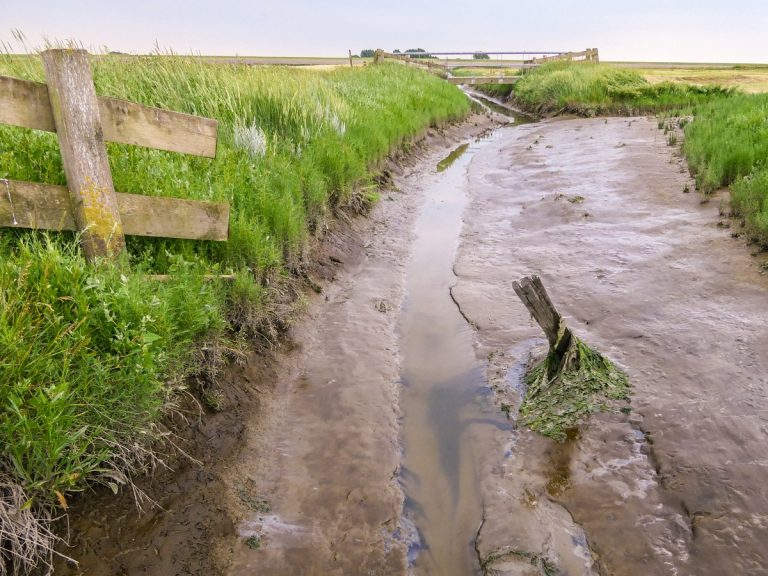 Noarderleech wandelen over land tussen zee en dijk