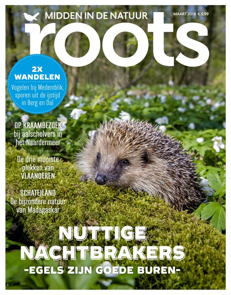 Roots editie 3-2018