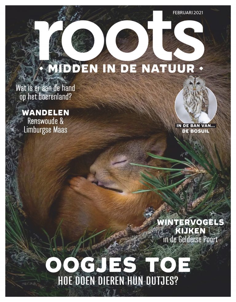 Roots editie 2 – 2021