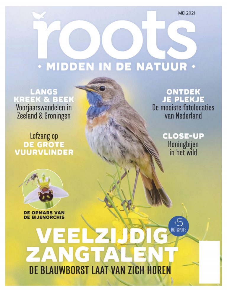 Roots editie 5 – 2021