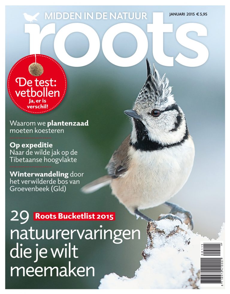 De januari Roots is uit!
