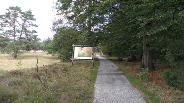winnaars van de Roots Natuurfotowedstrijd 2020
