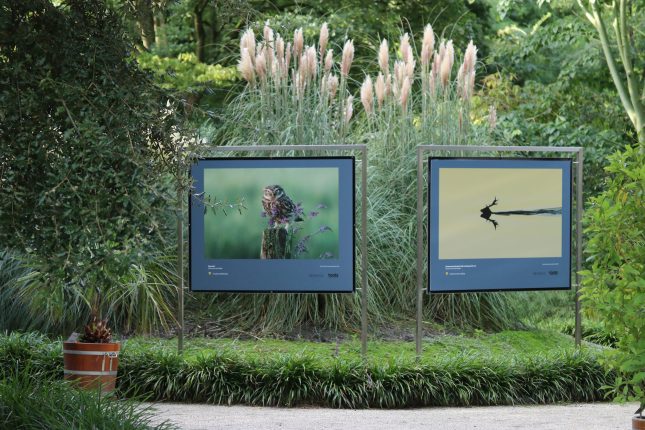 winnaars van de Roots Natuurfotowedstrijd 2020