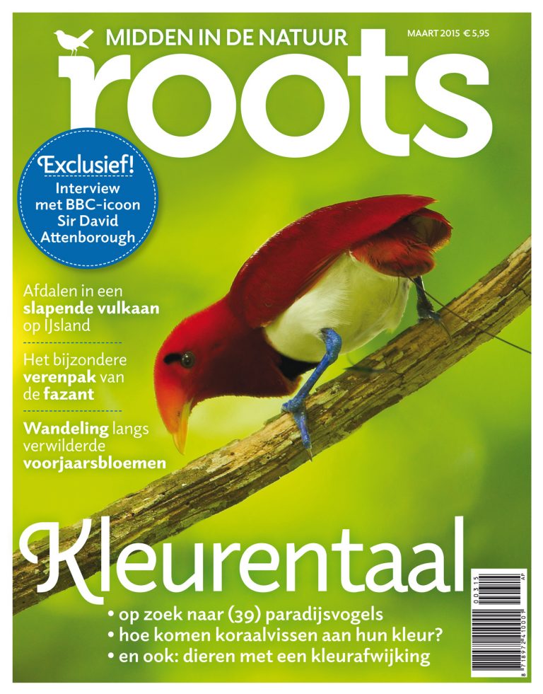 De Roots van maart is uit!