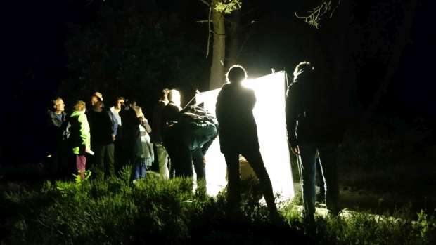 Spectaculaire nachtdierensafari