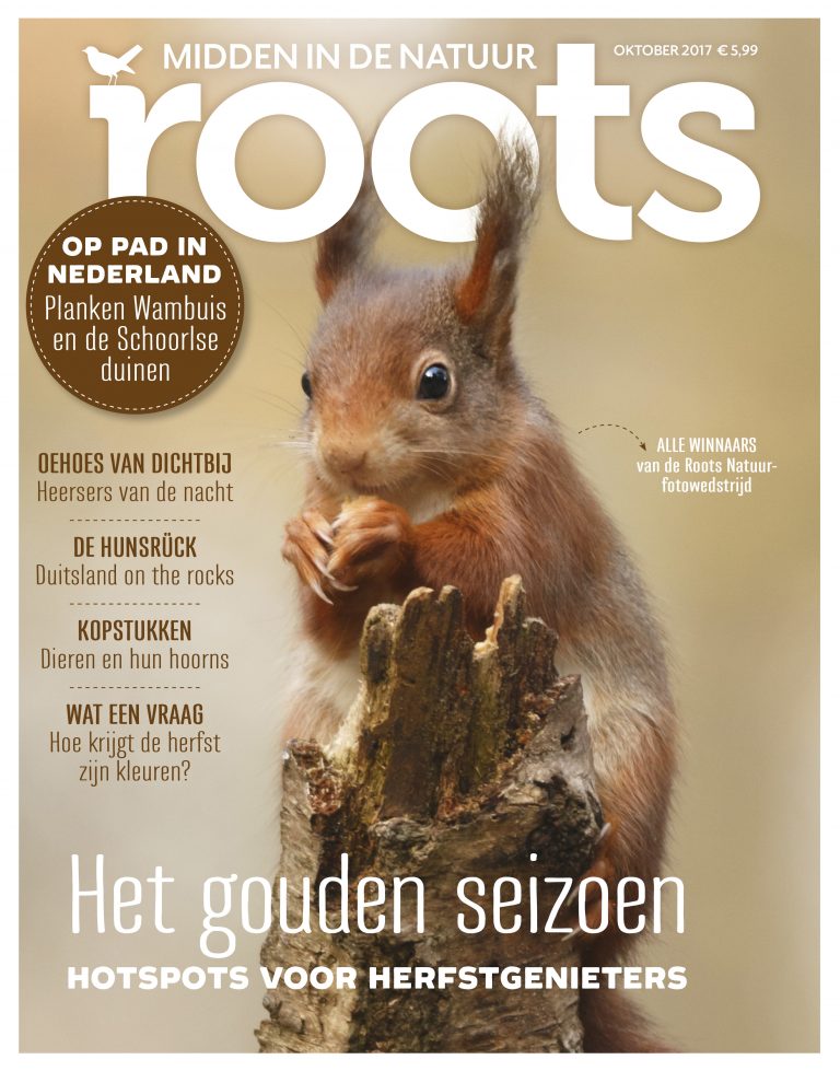 Roots 10- oktober 2017