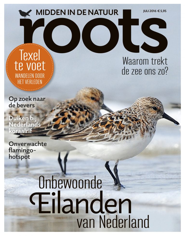 De Roots van juli is uit!