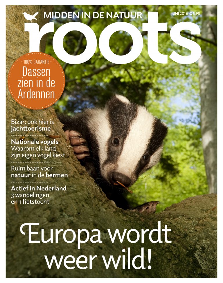 De Roots van juni is uit