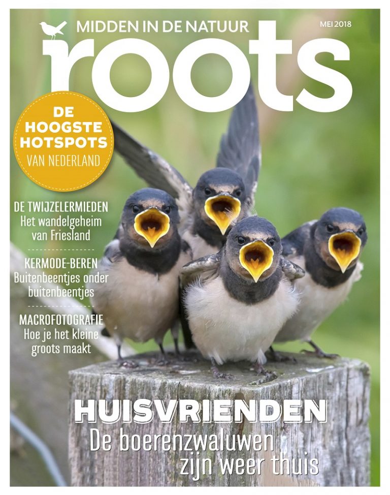 Roots editie 5-2018