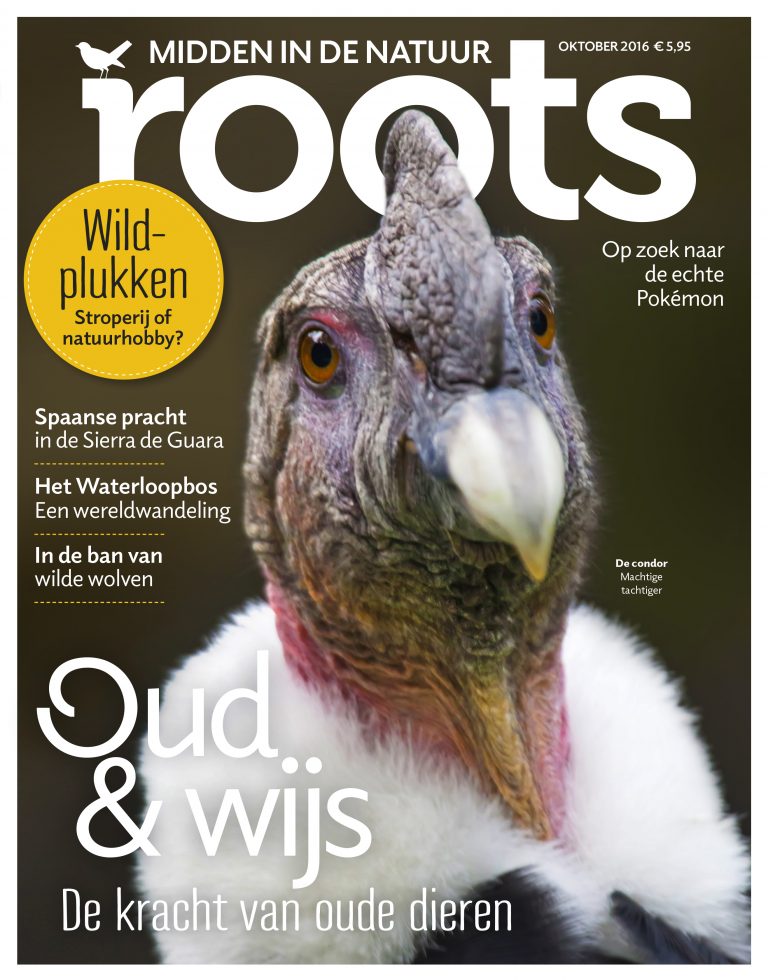 De Roots van oktober is uit!