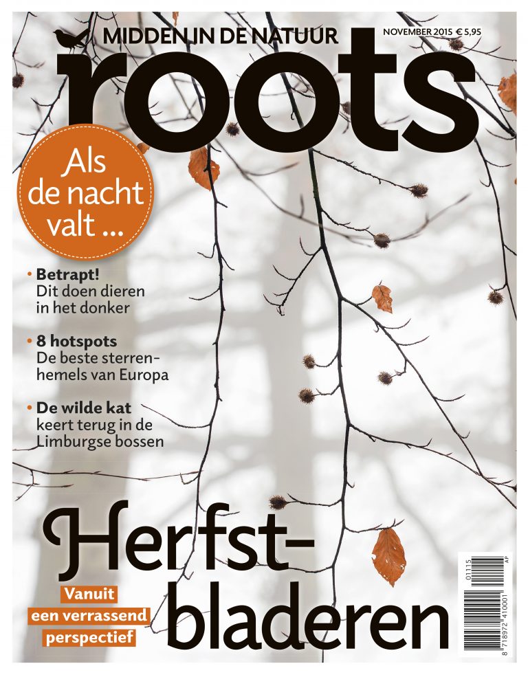 De Roots van november is uit
