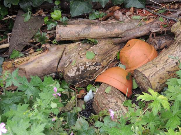 Ruim niet teveel tuinafval op