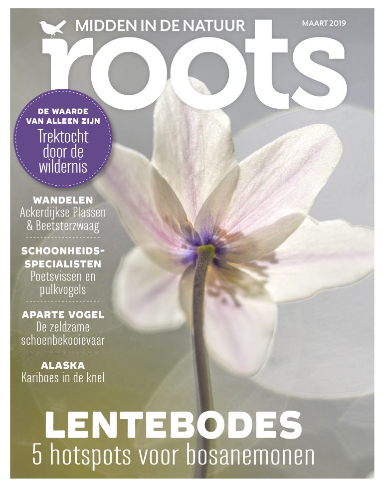 Roots maart 2019