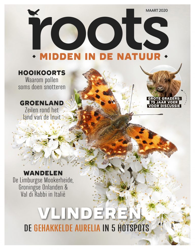 Roots editie 3 – 2020