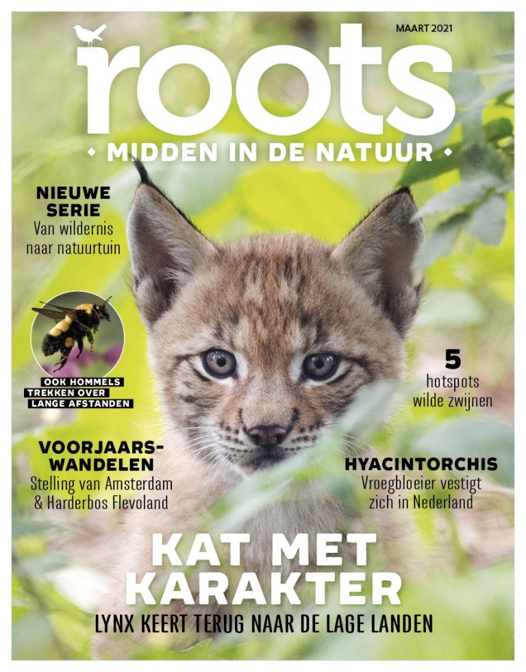 Roots editie 3 – 2021