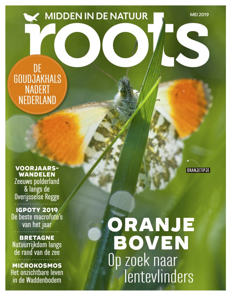 Roots mei 2019