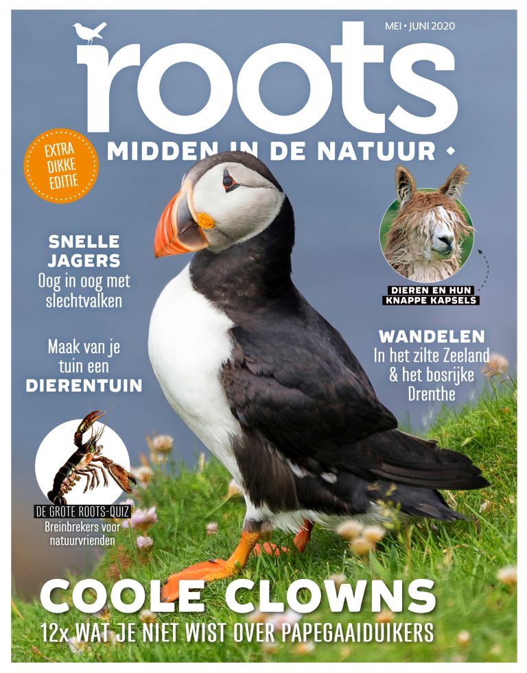 Roots editie 5/6 – 2020