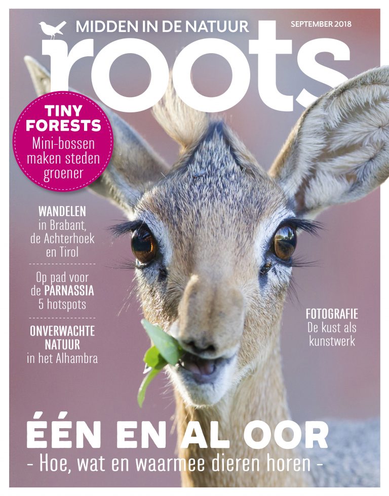 Roots september 2018