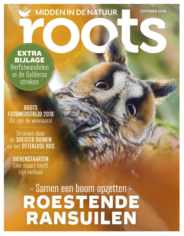 Roots oktober 2018