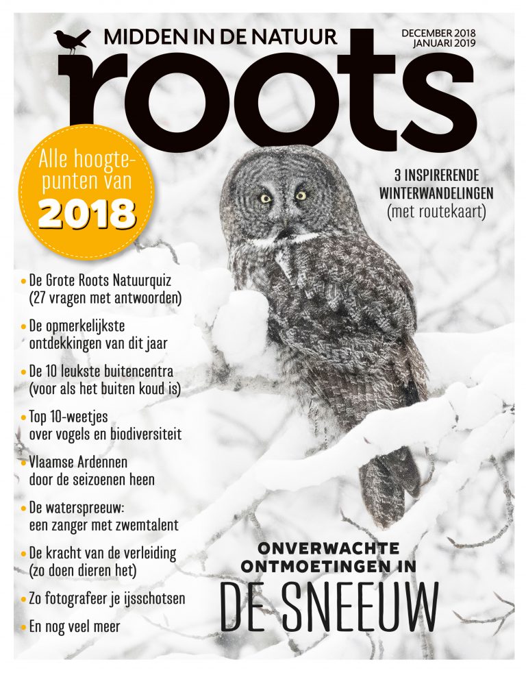 Roots december 2018 – januari 2019