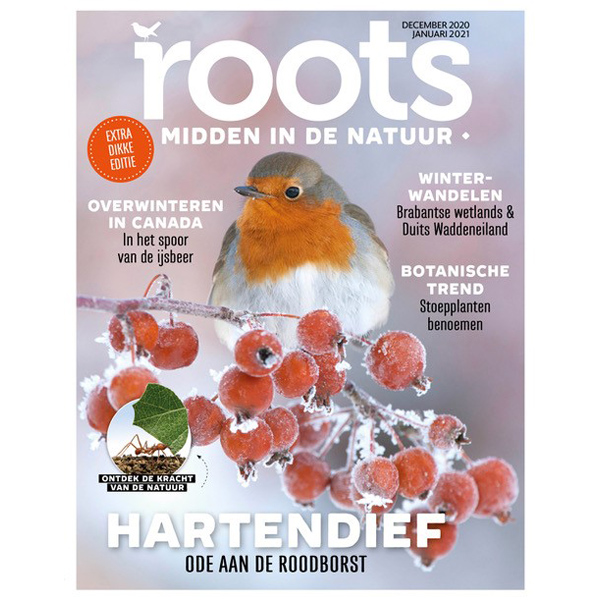 Roots 2021 Roots 2021