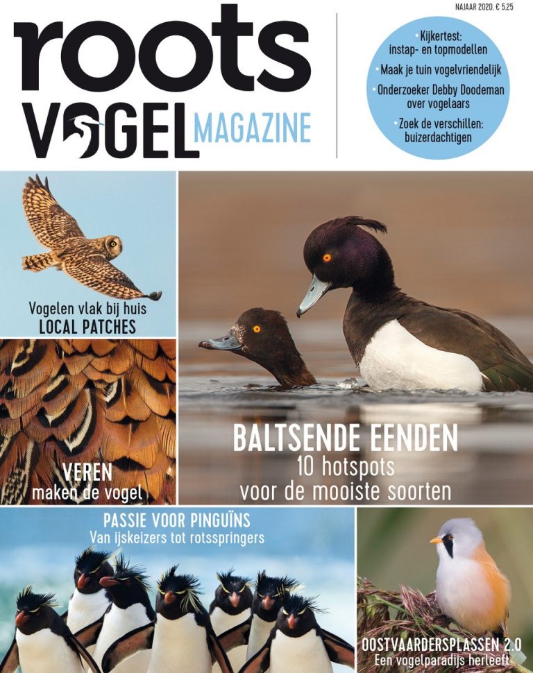 Roots Vogelmagazine 2 – najaar 2020