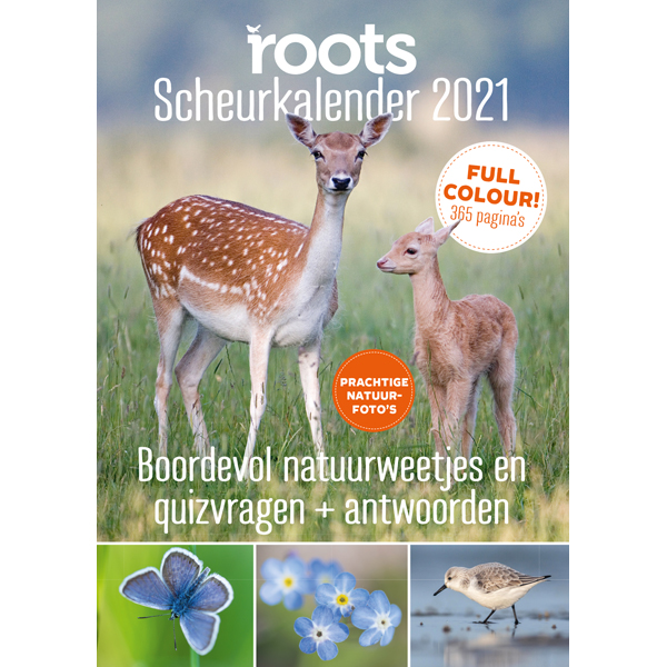 Roots 2021 Roots 2021