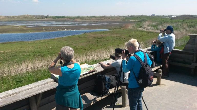 Blog over het Wadden Vogelfestival