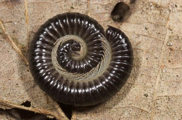 Home Nieuws Blog Abonnement Shop Foto Uitgelicht Fotograaf Aan Het Woord Zo Fotografeer Je Foto Van De Maand Nu Te Fotograferen Roots Natuurfotowedstrijd 2021 Foto Van De Maand Opvallers Galeries Video Video S Bij Roots Eerdere Edities