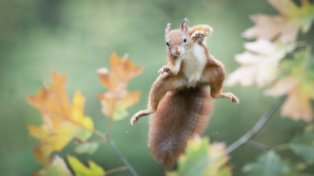 foto van de maand maart