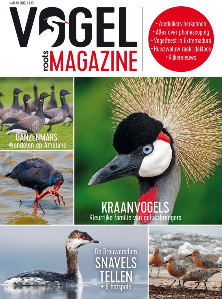 Roots Vogelmagazine editie 2-2018