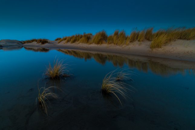 Blauwe uurtje