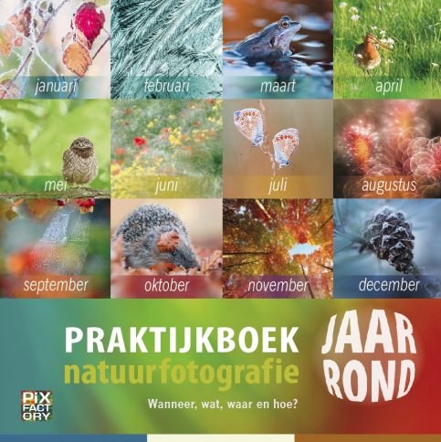 Zie Je Wat Voor Prachtbeesten Het Zijn Gelukkig Wordt Die