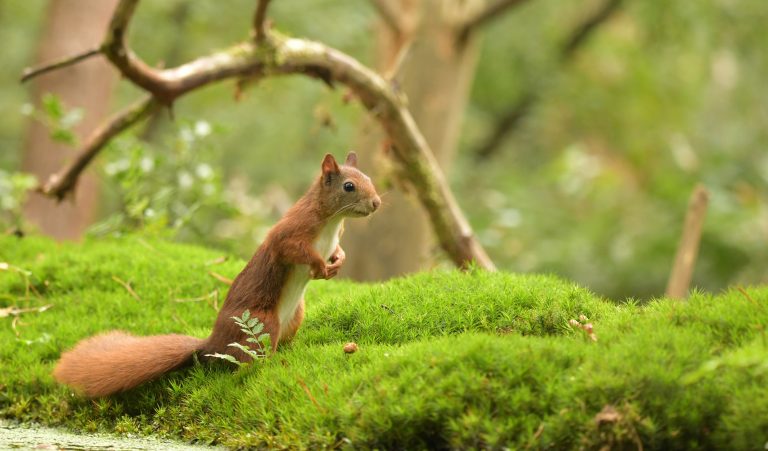 Wat is jouw mooiste natuurervaring?