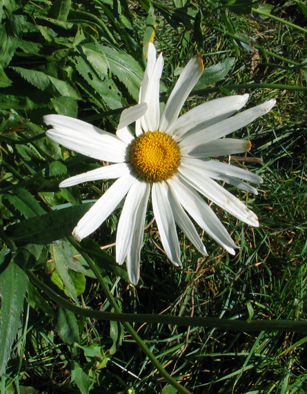 Een kleurrijke herfst