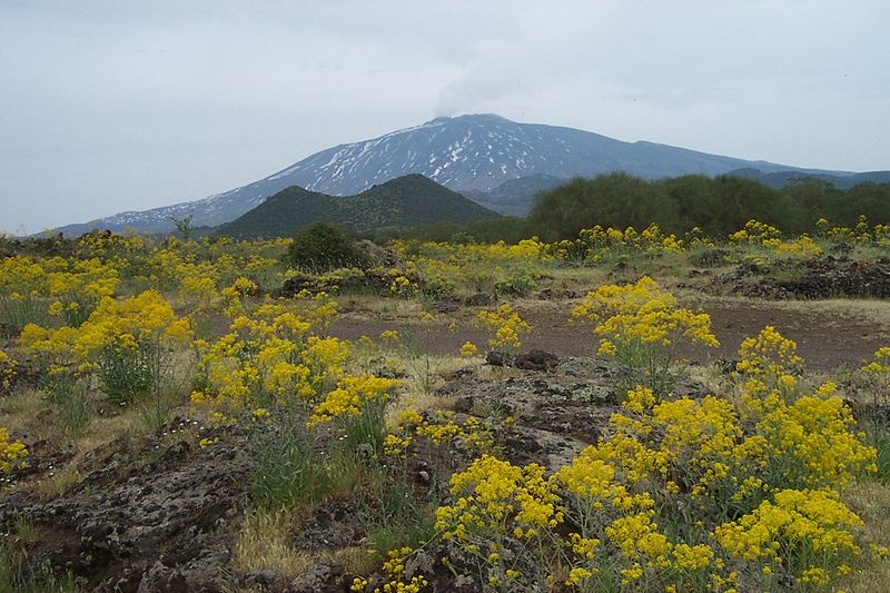 De Etna spuit weer
