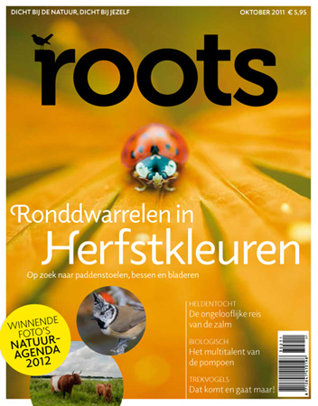 Roots op de iPad