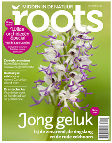 De Roots van mei is uit!