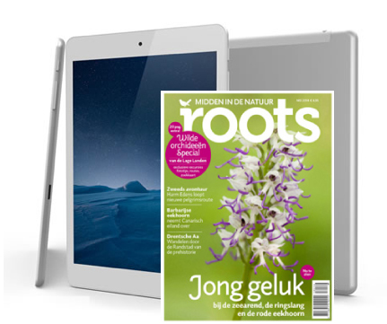 199 euro voor een jaarabonnement Roots met tablet!