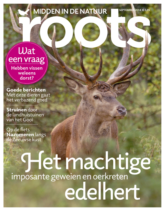 De nieuwe Roots is uit!