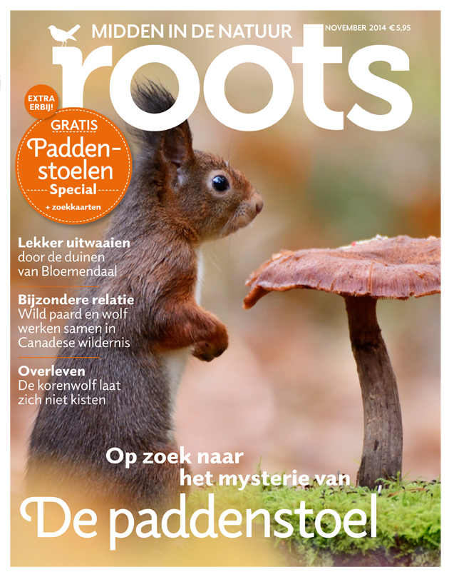 De november-Roots is uit!