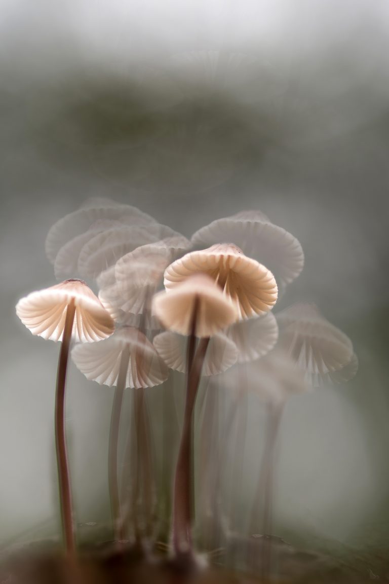 Creatieve foto’s maken met dubbelbelichting