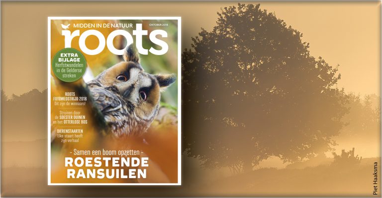 De Roots van oktober 2018 is uit!