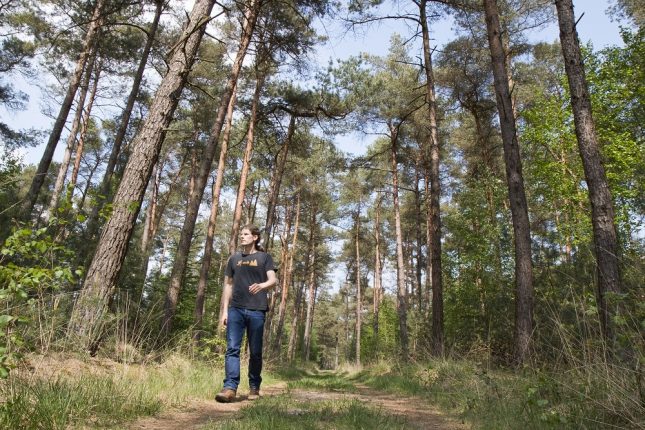 Wandelaar bossen Rechterense Veld