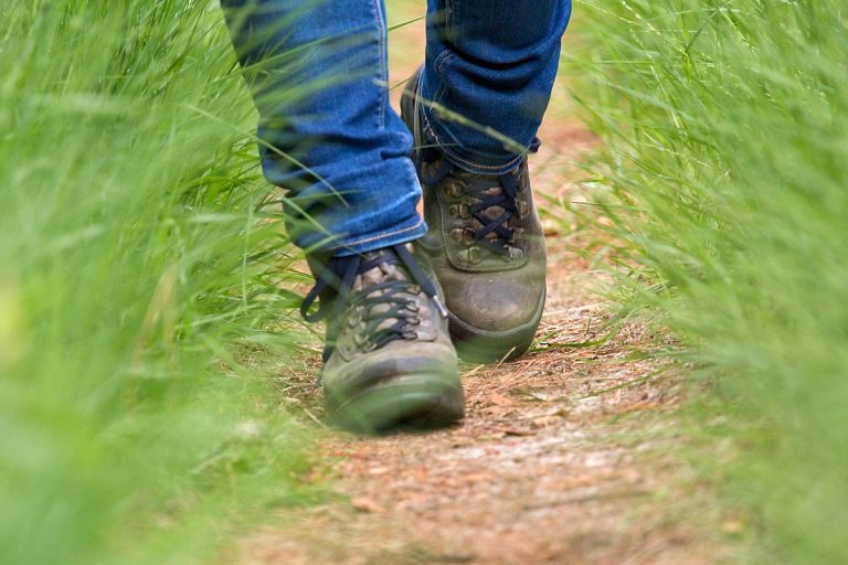 Staatsbosbeheer lanceert Boswachterspaden