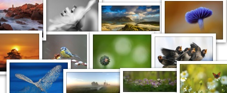 Stemmen! Week 2 van de wedstrijd Beste Roots Lezersfoto Aller Tijden