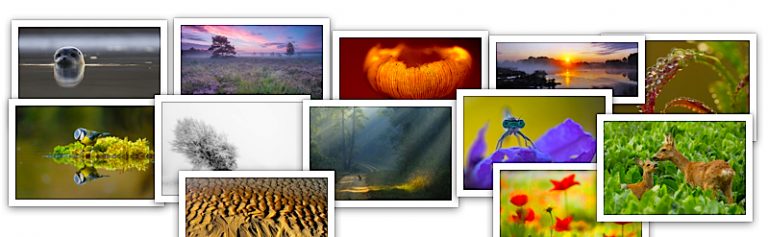 Beste Roots Lezersfoto Aller Tijden week 4