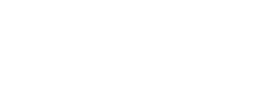 Wordpress Logo Bunker