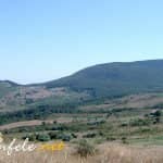 panorama_bosco_squadro1