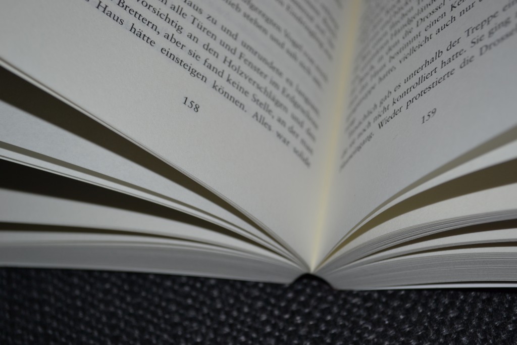Books: Ostseewut | Kirstin Warschau - DSC 0088 1024x683 Books: Ostseewut | Kirstin Warschau - DSC 0088 1024x683